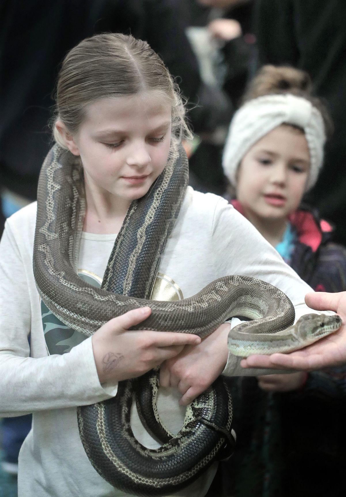 200113_REPTILE04